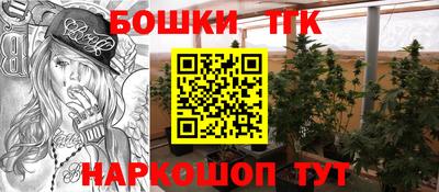 Альфа ПВП Новозыбков