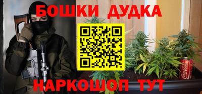 прущие грибы Новодвинск