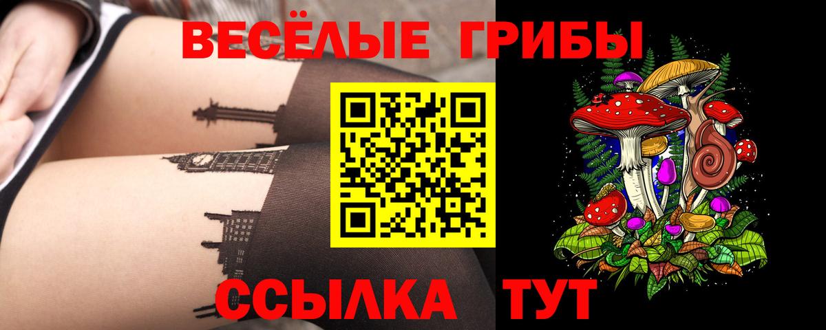 Сорочинск  Галлюциногенные грибы Psilocybe  Вход с VPN 